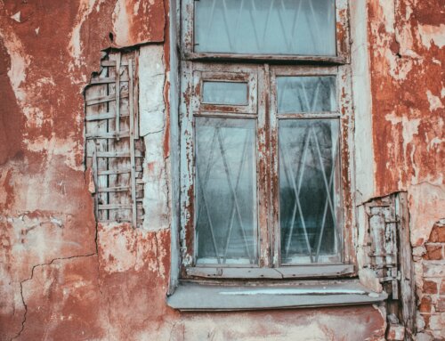 Il Lichen: cos’è? Come si cura?